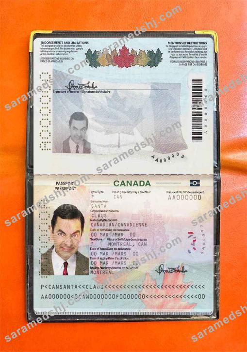 Canada passport (2010-present) photo look